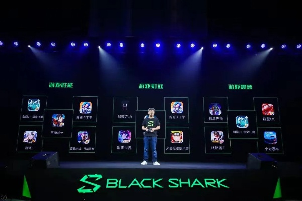 黑鲨流畅版本,科技术语评估说明_桌面款_v10.979