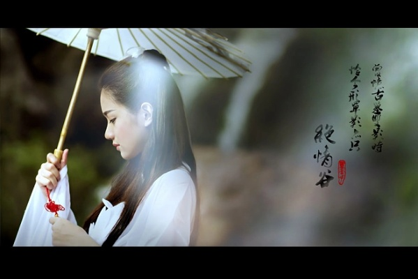 小龙女各种版本或swf播放器官方下载,实效性解析解读_8K_v10.740