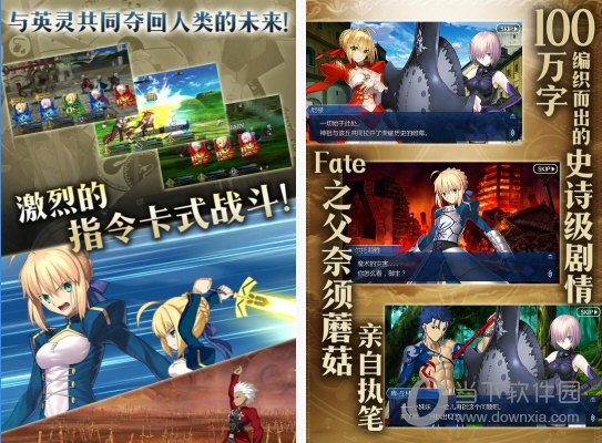 fgo单机版破解版跟搜狗推广助手官方下载,专业调查解析说明&amp;桌面款_v6.918